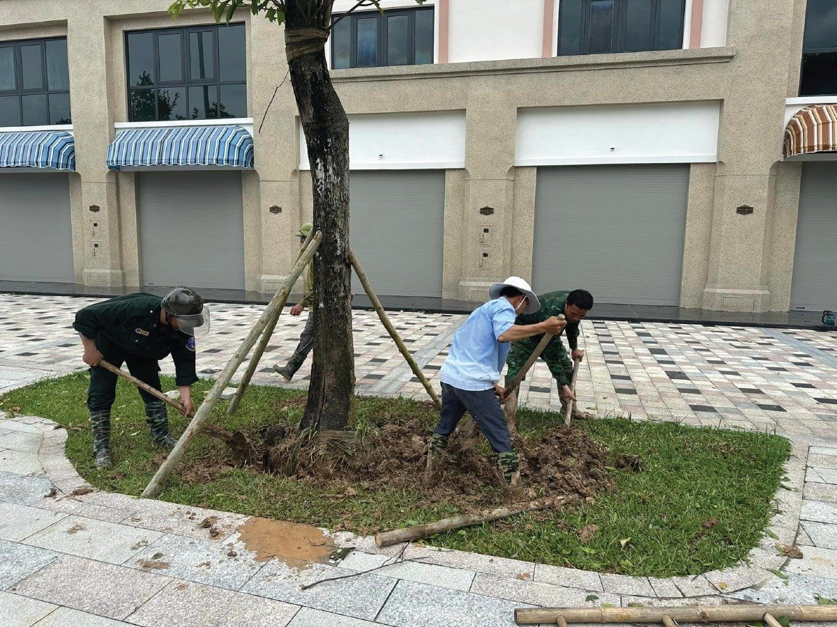 ocean city khắc phục hậu quả bão Yagi 5.jpg